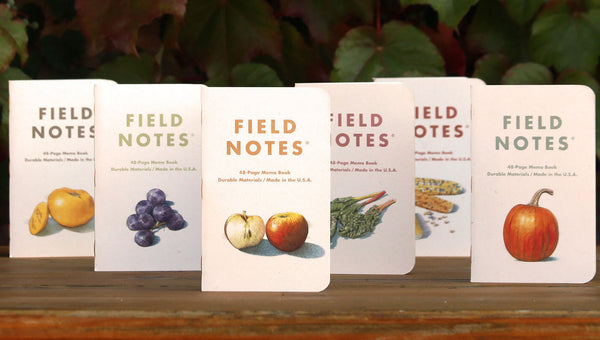 FIELD NOTES 2021 Quarterly Edition - Harvest - Set of 3 Perforated Ruled Dot Ledger Memo Books