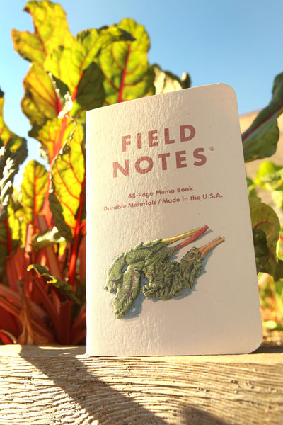 FIELD NOTES 2021 Quarterly Edition - Harvest - Set of 3 Perforated Ruled Dot Ledger Memo Books